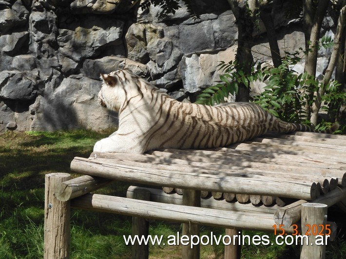 Foto: Escobar - Bioparque Temaiken - Escobar (Buenos Aires), Argentina