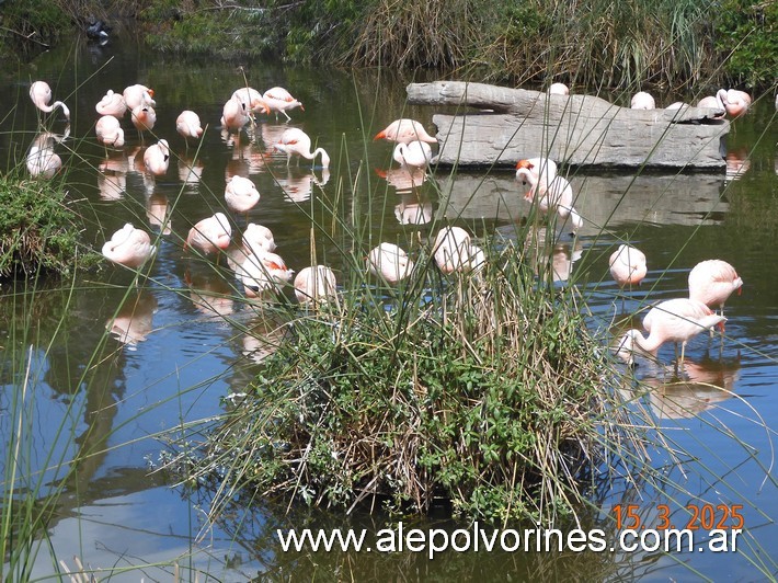 Foto: Escobar - Bioparque Temaiken - Escobar (Buenos Aires), Argentina