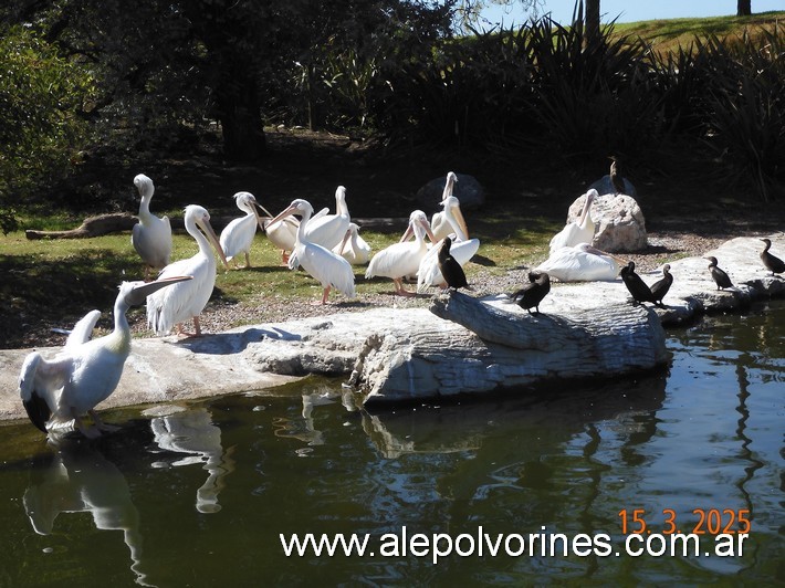 Foto: Escobar - Bioparque Temaiken - Escobar (Buenos Aires), Argentina
