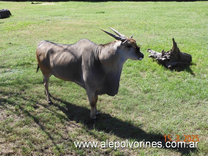 Foto: Escobar - Bioparque Temaiken - Escobar (Buenos Aires), Argentina