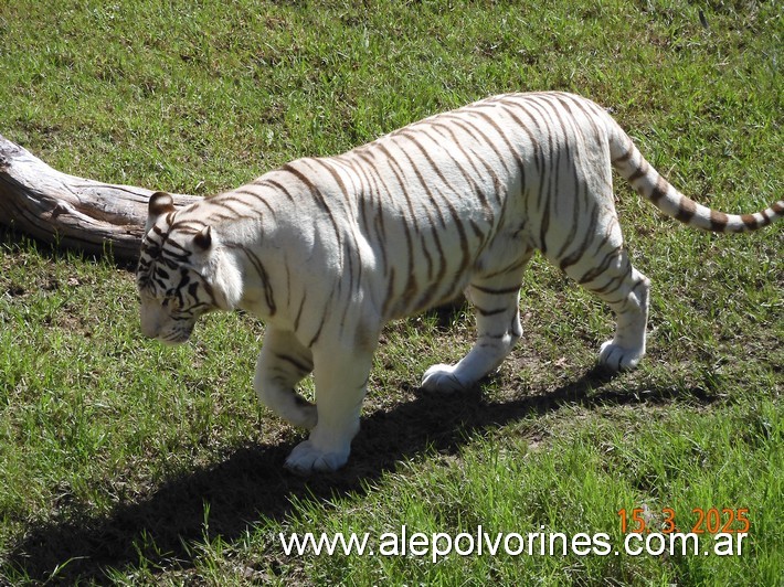 Foto: Escobar - Bioparque Temaiken - Escobar (Buenos Aires), Argentina