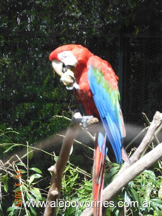 Foto: Escobar - Bioparque Temaiken - Escobar (Buenos Aires), Argentina