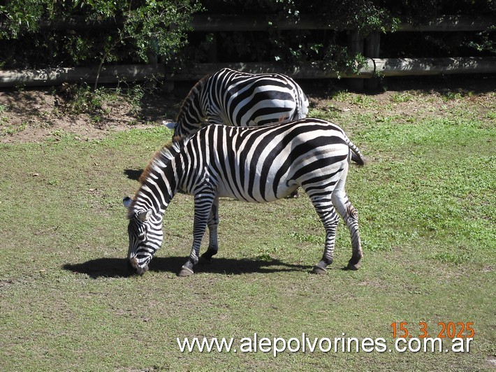 Foto: Escobar - Bioparque Temaiken - Escobar (Buenos Aires), Argentina