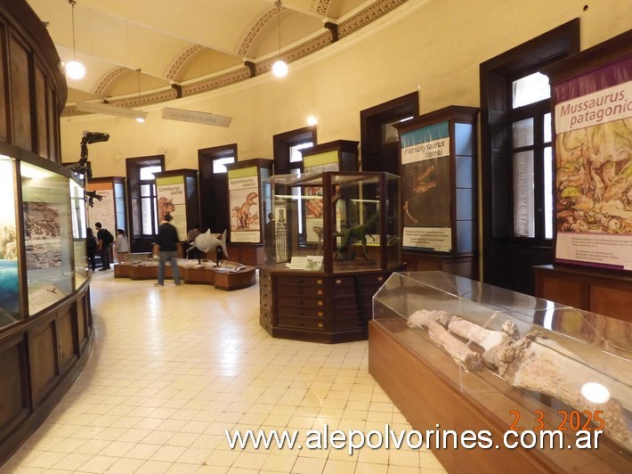 Foto: La Plata - Museo de Ciencias Naturales - La Plata (Buenos Aires), Argentina