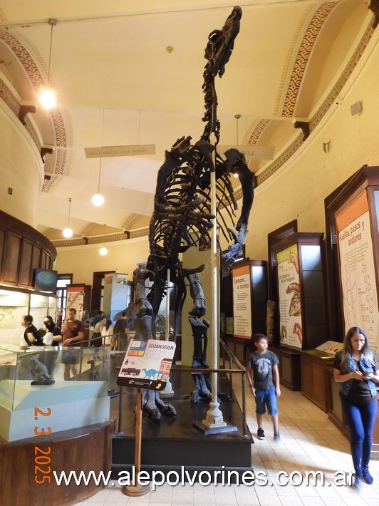 Foto: La Plata - Museo de Ciencias Naturales - La Plata (Buenos Aires), Argentina