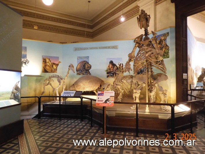 Foto: La Plata - Museo de Ciencias Naturales - La Plata (Buenos Aires), Argentina