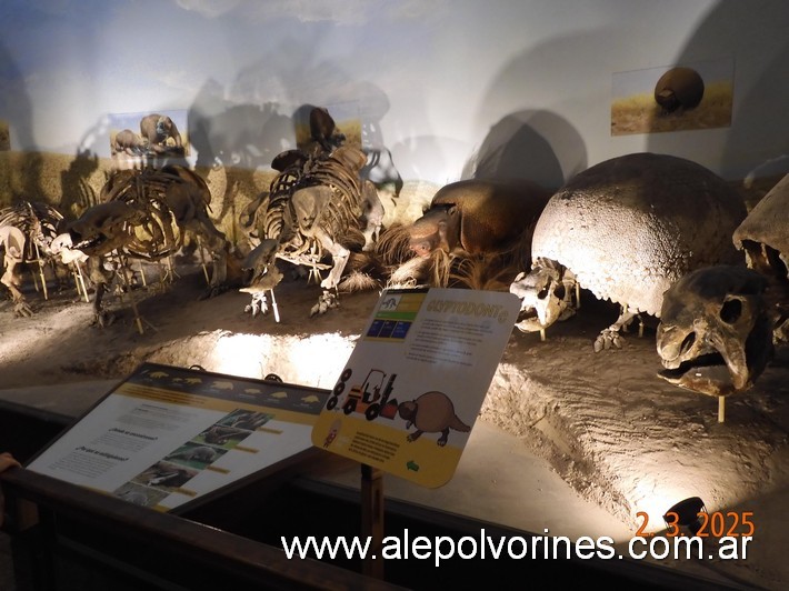 Foto: La Plata - Museo de Ciencias Naturales - La Plata (Buenos Aires), Argentina