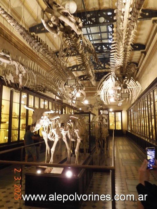 Foto: La Plata - Museo de Ciencias Naturales - La Plata (Buenos Aires), Argentina