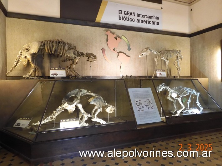 Foto: La Plata - Museo de Ciencias Naturales - La Plata (Buenos Aires), Argentina