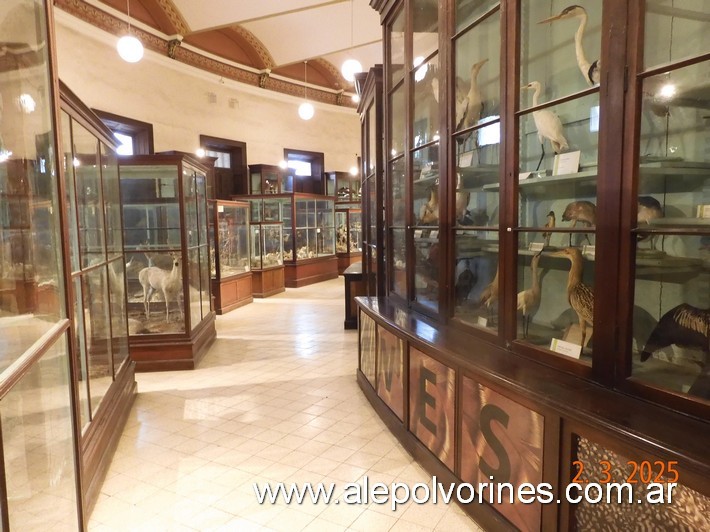 Foto: La Plata - Museo de Ciencias Naturales - La Plata (Buenos Aires), Argentina