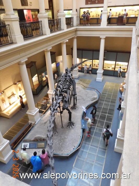 Foto: La Plata - Museo de Ciencias Naturales - La Plata (Buenos Aires), Argentina