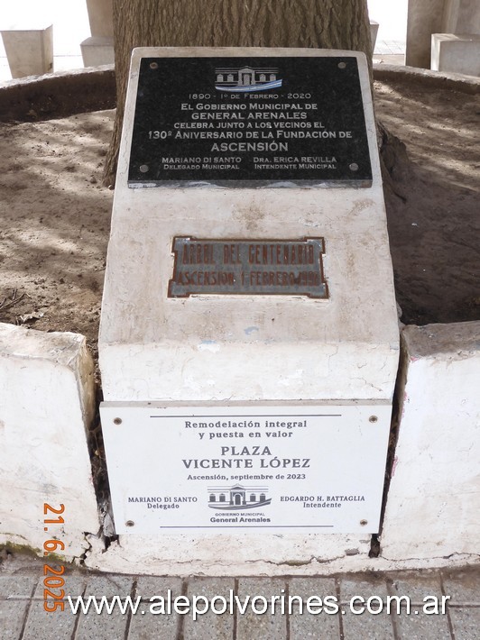 Foto: Ascensión - Plaza Vicente Lopez - Arbol del Centenario - Ascension (Buenos Aires), Argentina