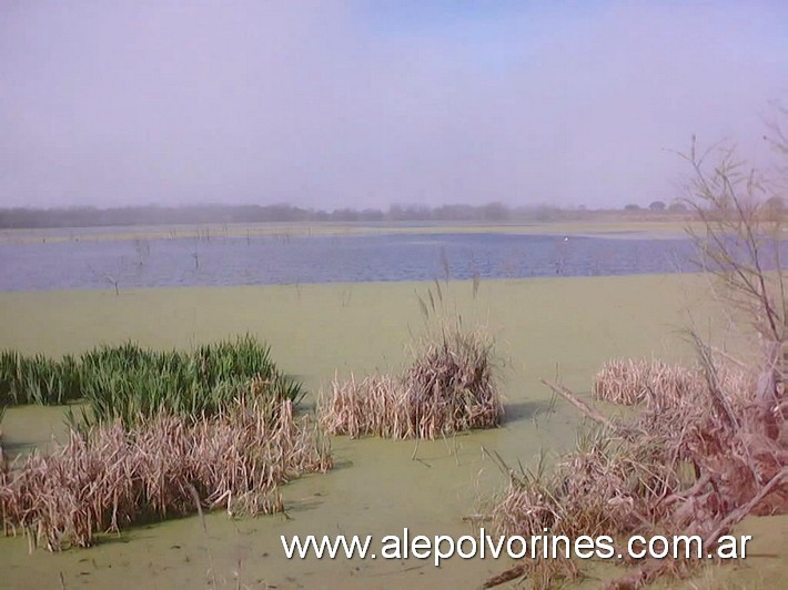 Foto: Puerto Madero CABA - Reserva Ecologica - Puerto Madero (Buenos Aires), Argentina