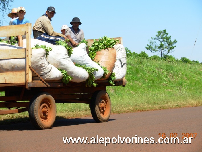 Foto: Apóstoles, Misiones - Yerbateros - Apostoles (Misiones), Argentina