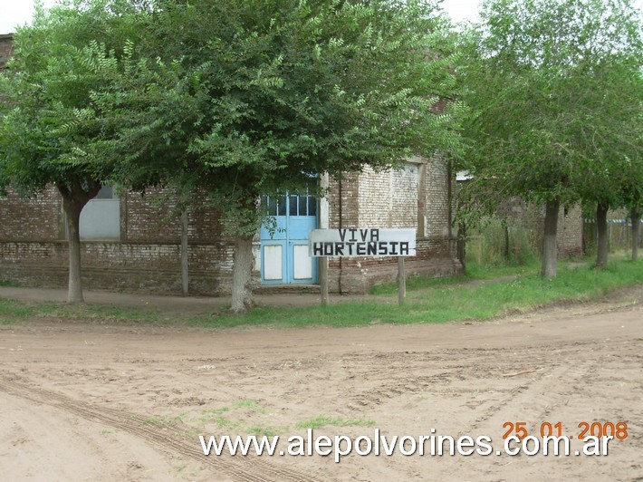 Foto: Hortensia - prov. Buenos Aires - Hortensia (Buenos Aires), Argentina