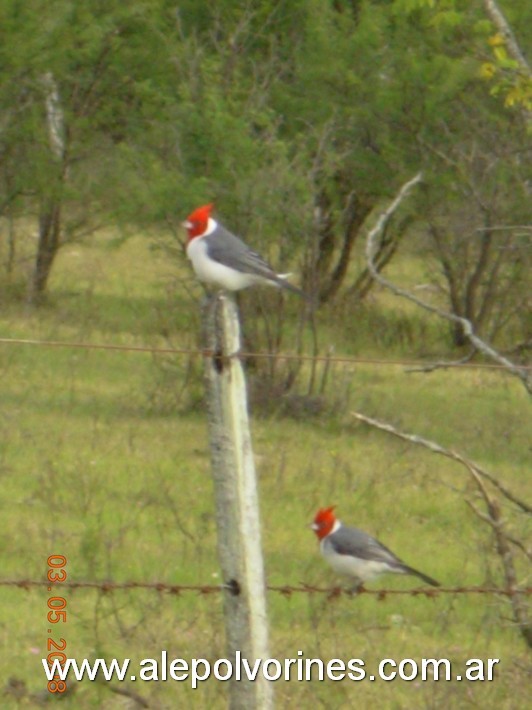 Foto: Raíces - prov. Entre Rios - Raíces (Entre Ríos), Argentina