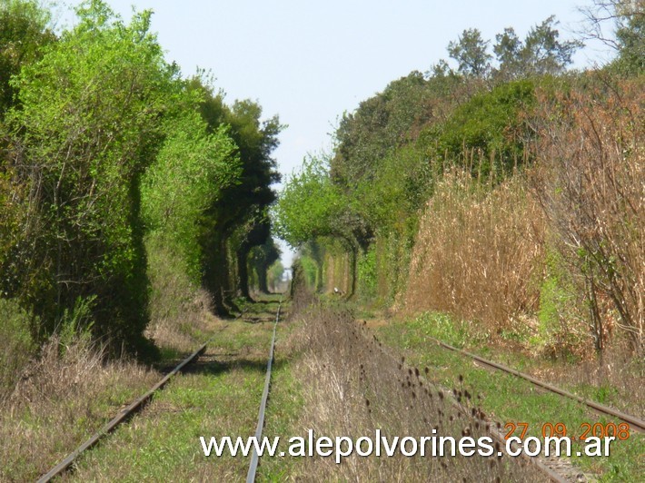 Foto: Vias cerca de estacion Sucre FCBAP - Sucre (Buenos Aires), Argentina