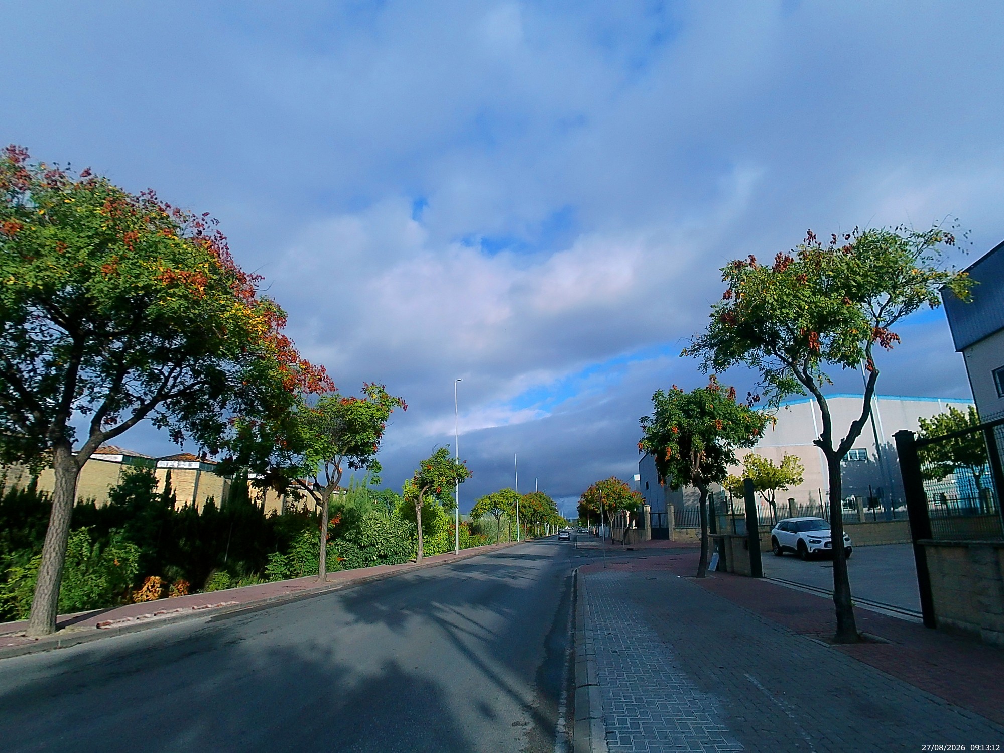 Foto: Avenida de Rota - Jerez de la Frontera (Cádiz), España
