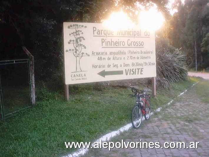 Foto: Parque Municipal Pinheiro Grosso - Canela RS - Canela (Rio Grande do Sul), Brasil