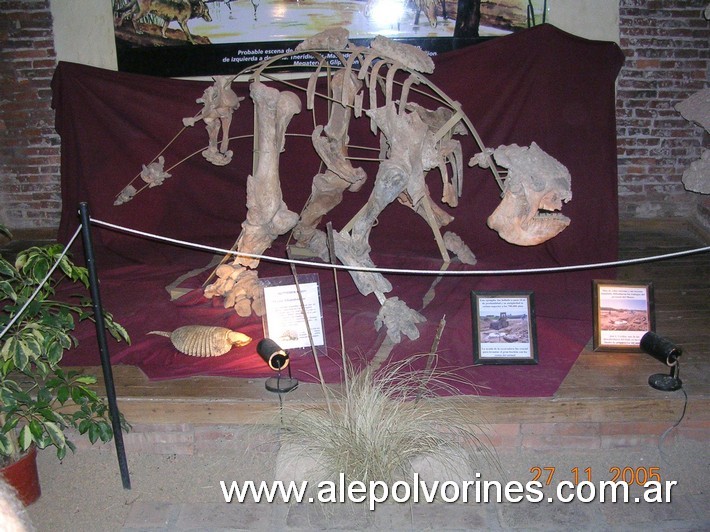 Foto: Museo Paleontológico - San Pedro BA - San Pedro (Buenos Aires), Argentina