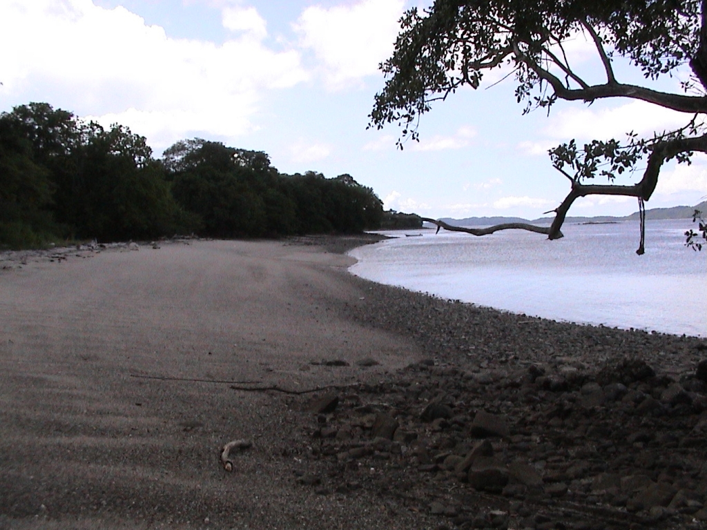 Foto de Isla Venado, Costa Rica
