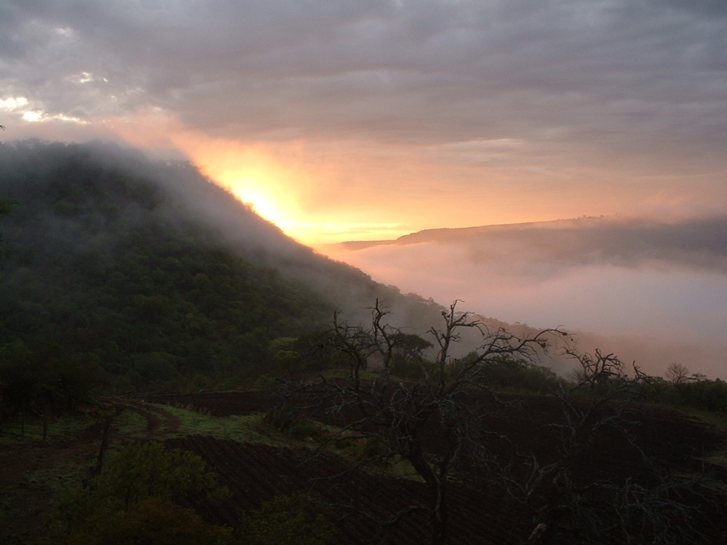 Foto de Yahualica de Glz Gallo, México