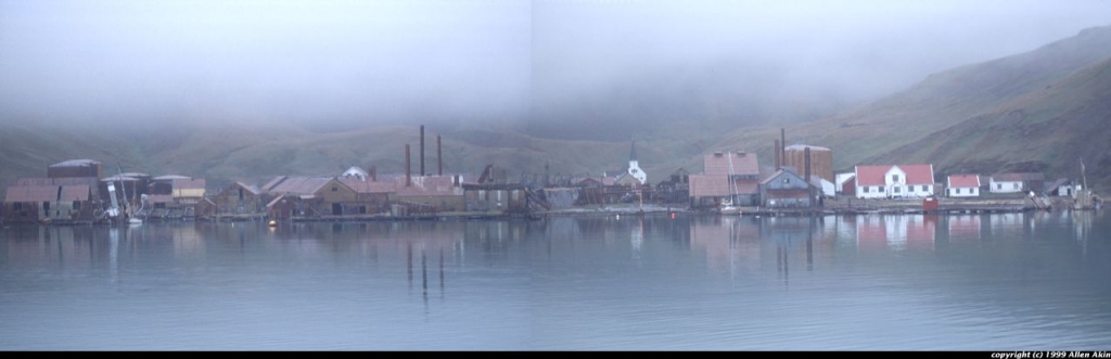 Foto de Grytviken, Sur de Georgia