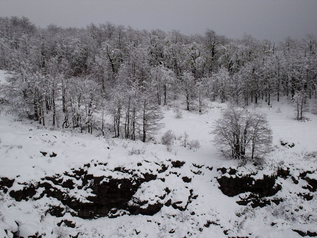 Foto de Villarrica, Chile