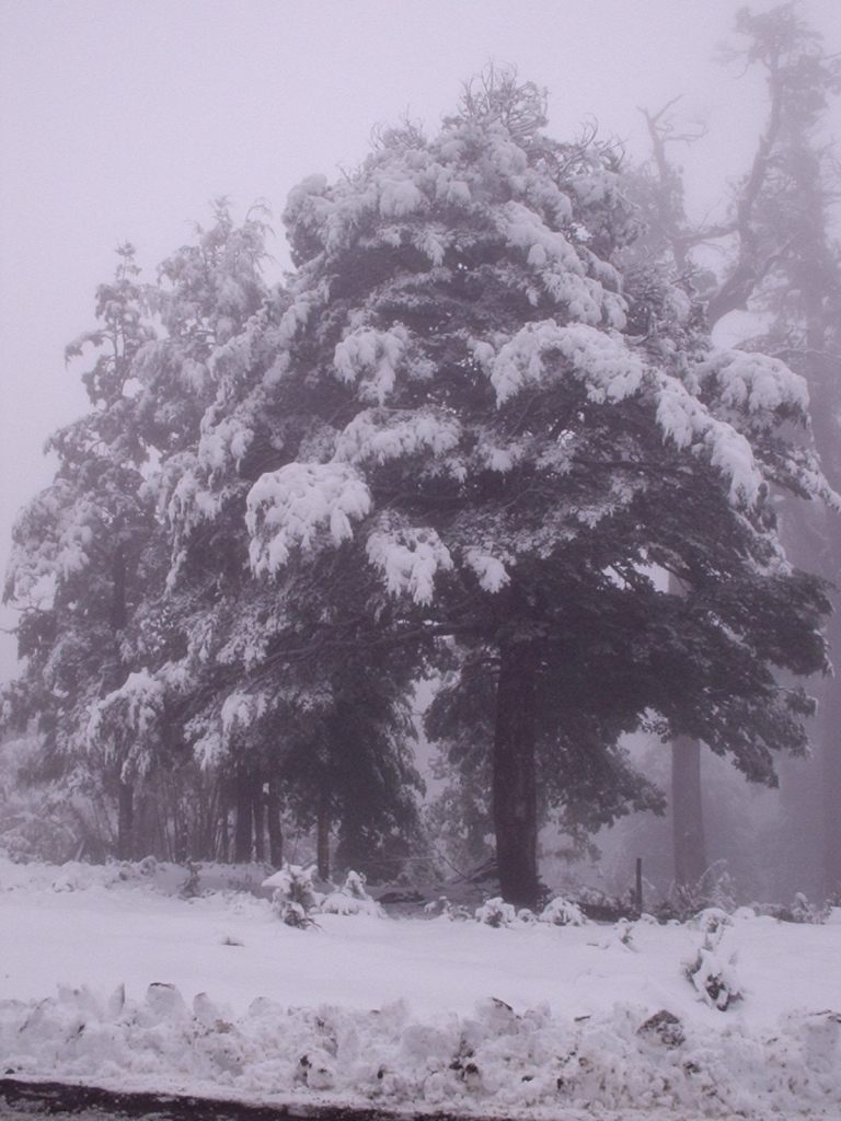 Foto de Villarrica, Chile
