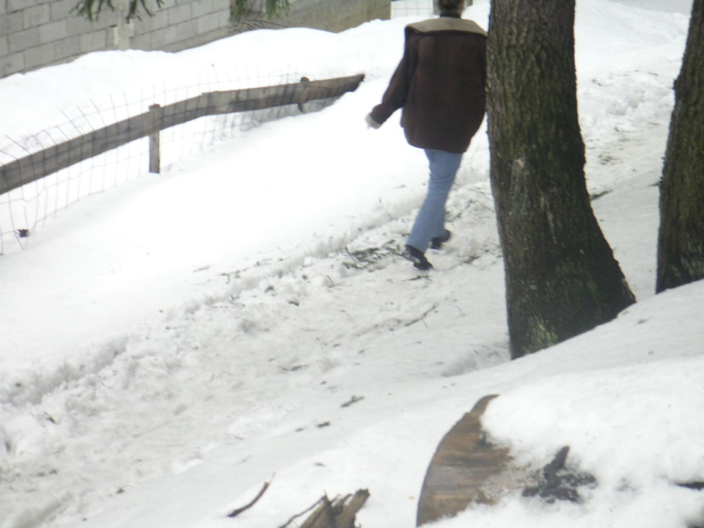 Foto de Predal, Rumania