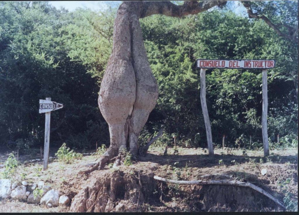 Foto de Yacuiba Gran Chaco Tarija, Bolivia