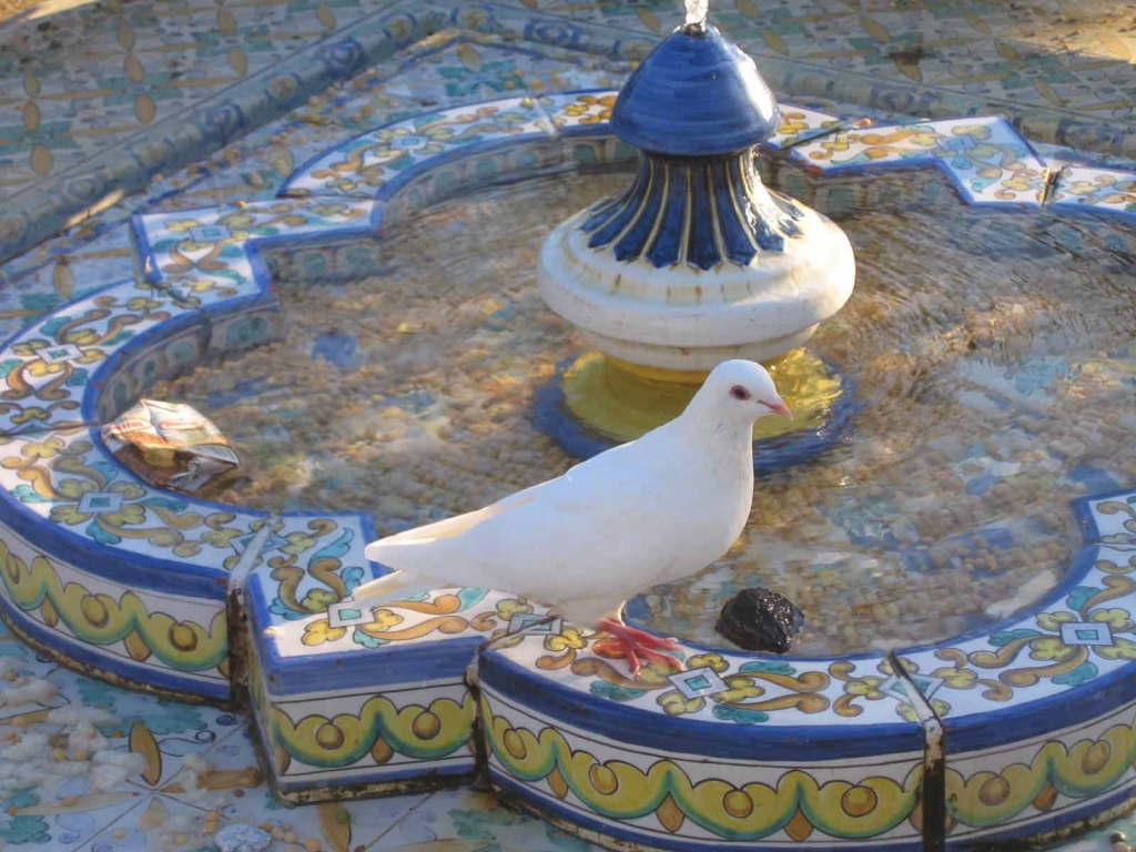 Foto de Sevilla (Andalucía), España