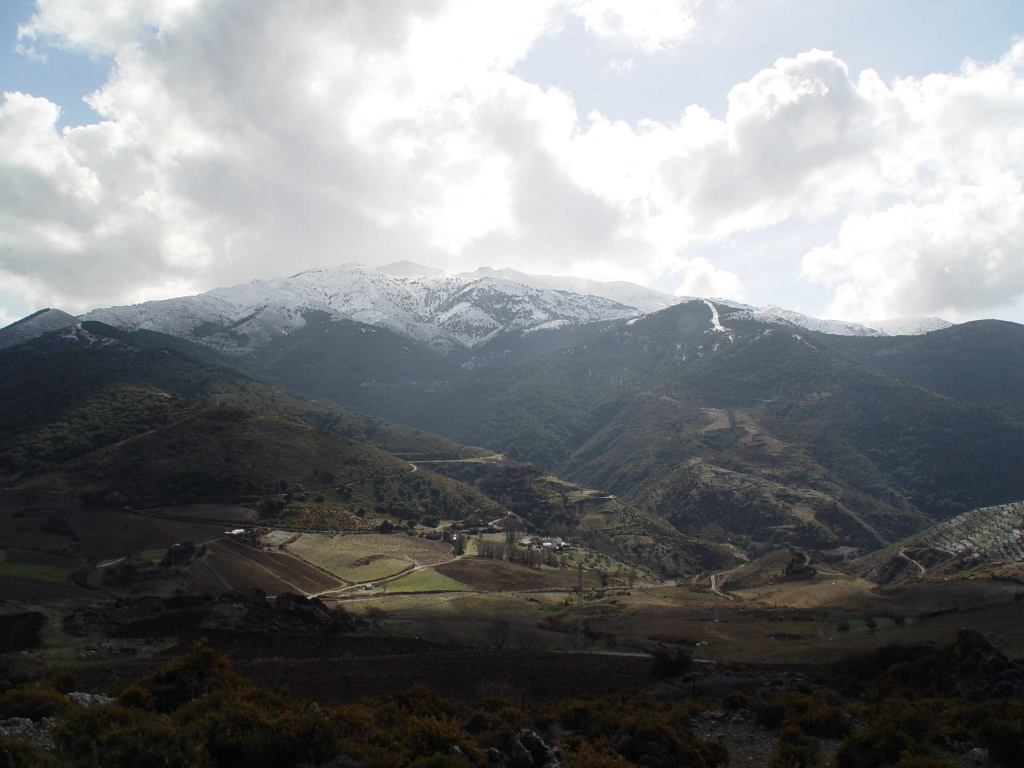 Foto de Sierra Tejeda (Málaga), España