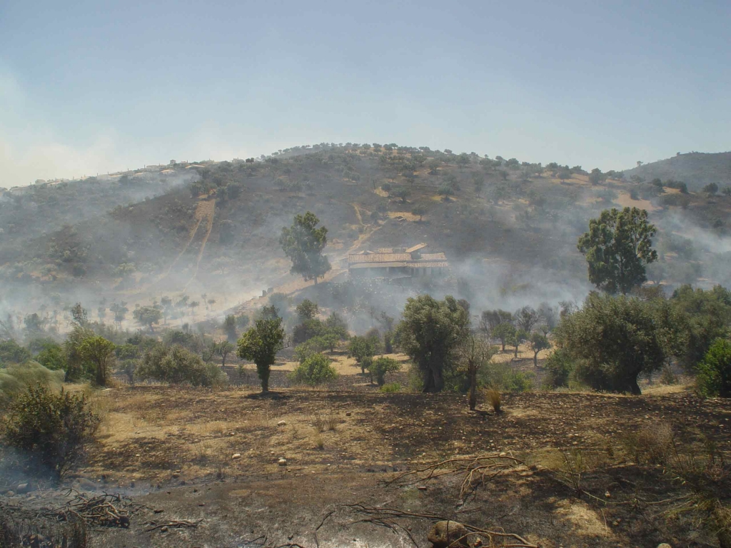 Foto de Puente Don Manuel Malaga, España