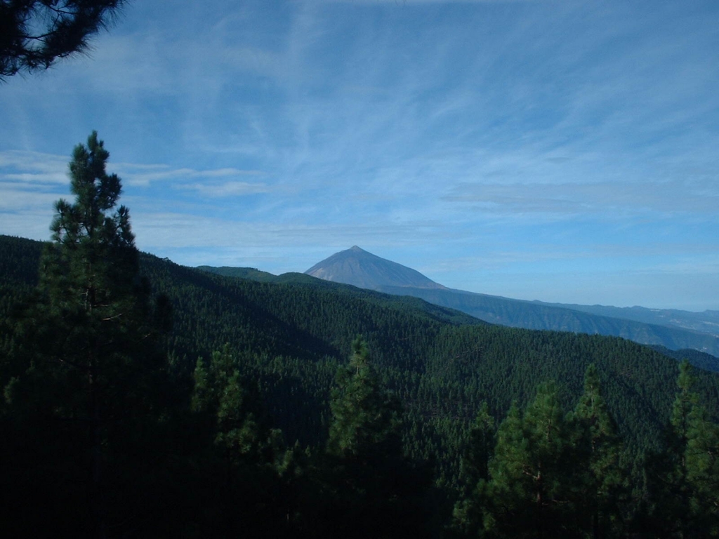 Foto de Tenerife (Santa Cruz de Tenerife), España