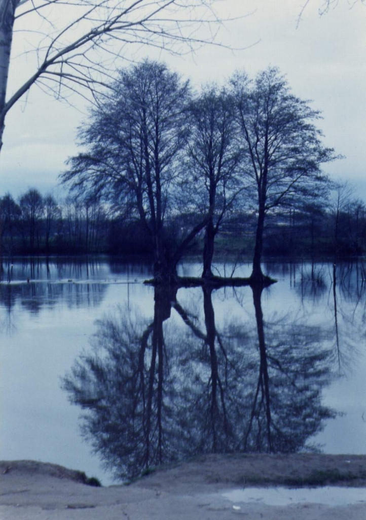 Foto de Salamanca (Castilla y León), España