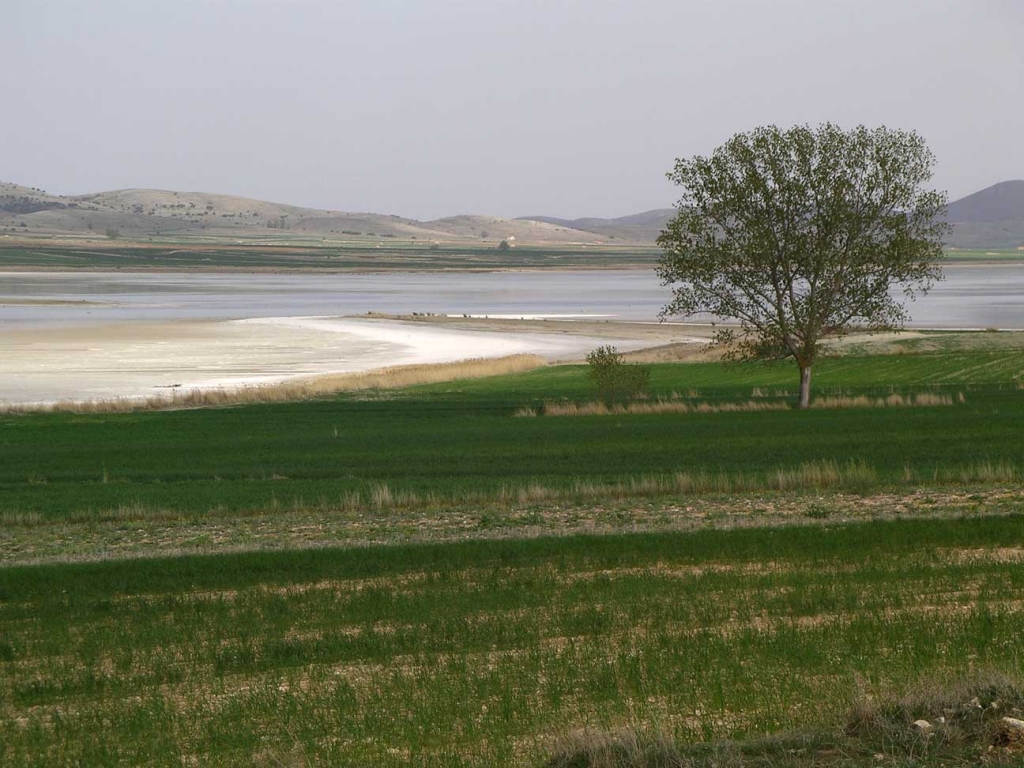 Foto de Gallocanta (Zaragoza), España
