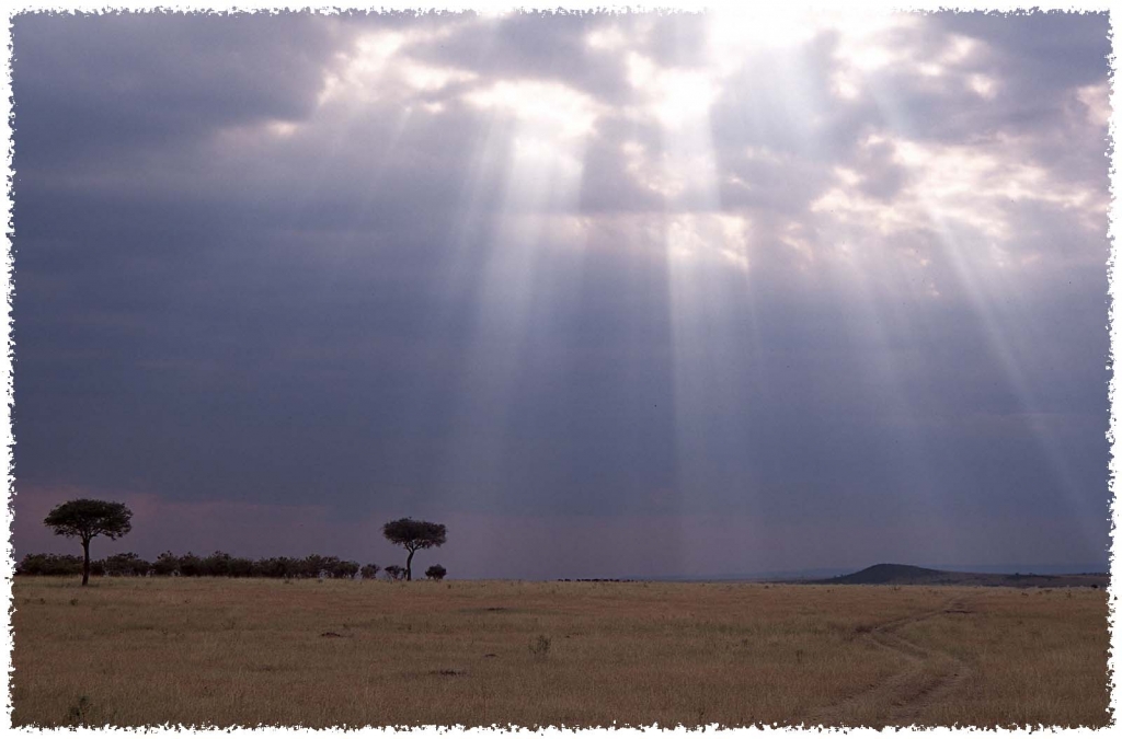 Foto de Massai Mara, Kenia