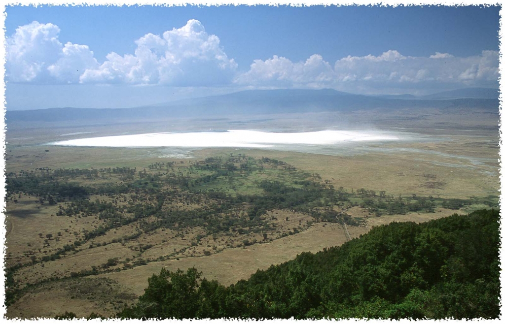 Foto de Nogorongoro, Tanzania