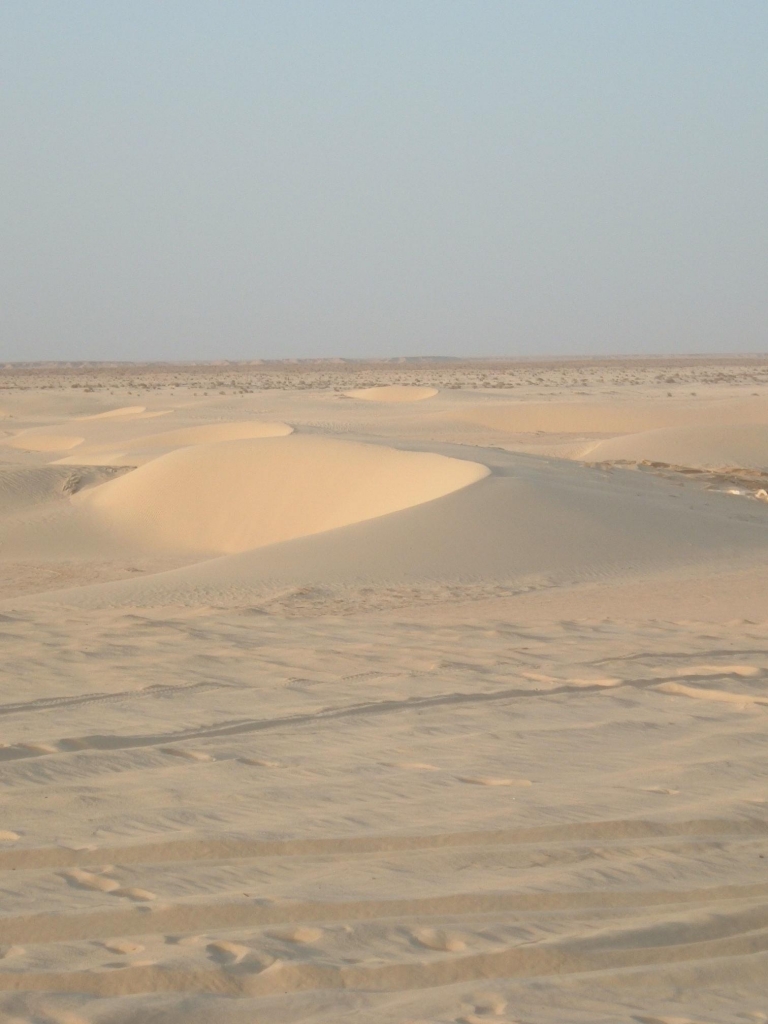 Foto de Sur de Tunez, Túnez