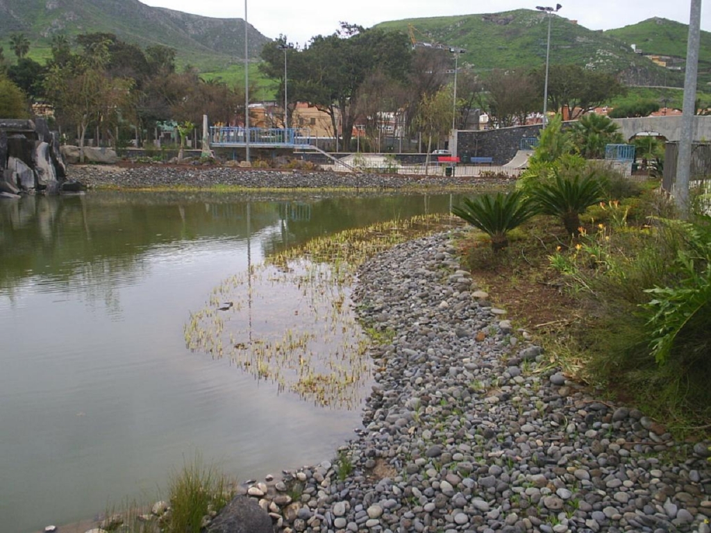 Foto de La Laguna (Santa Cruz de Tenerife), España