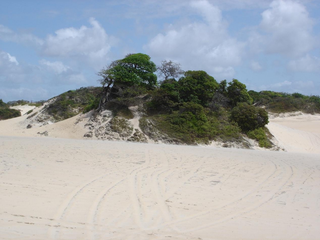Foto de Genipabu, Brasil