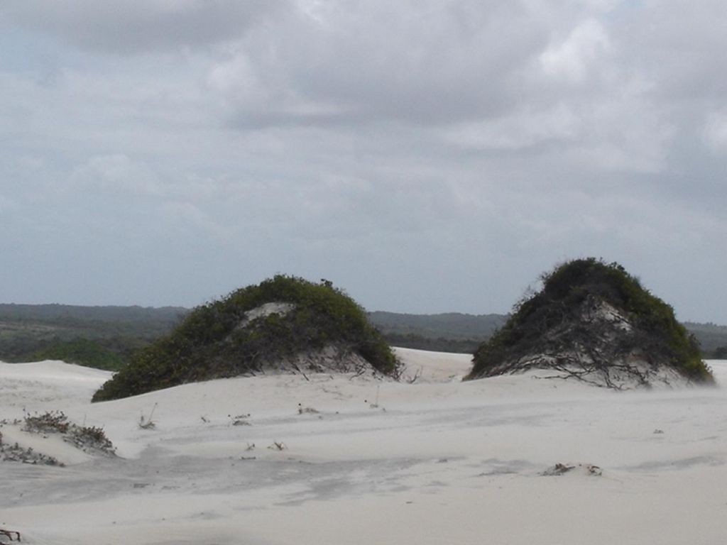 Foto de Genipabu, Brasil