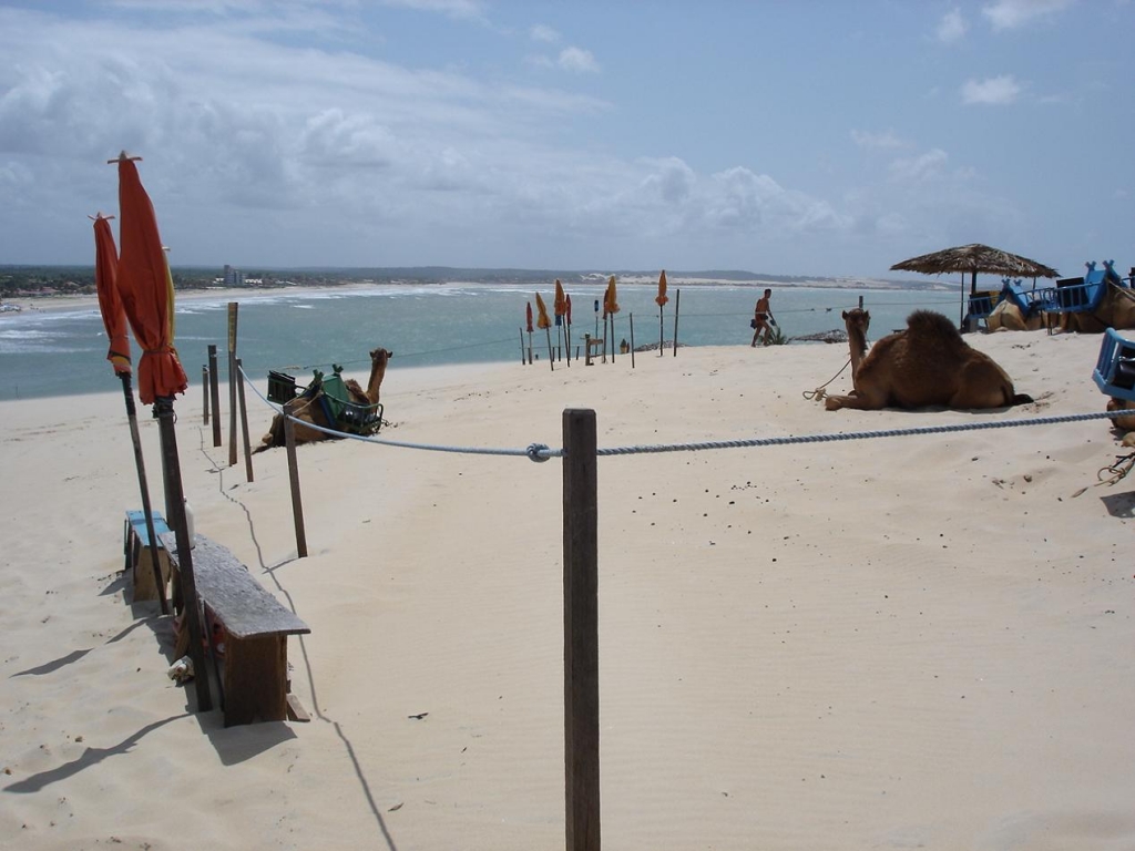 Foto de Genipabu, Brasil