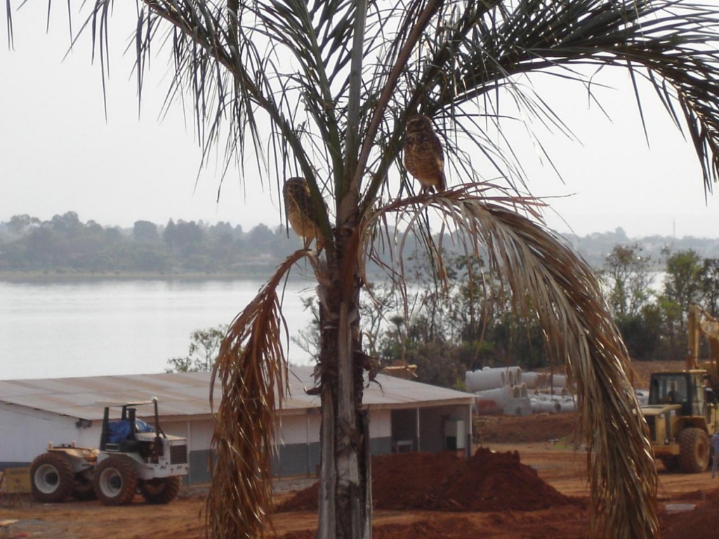 Foto de Brasilia, Brasil
