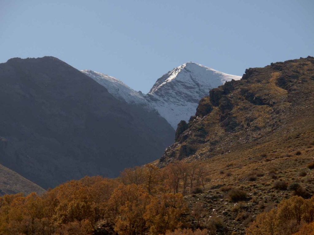 Foto de Granada (Andalucía), España