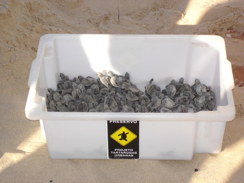 Foto de João Pessoa, Brasil