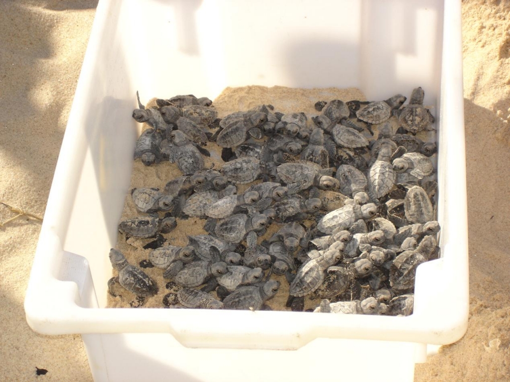 Foto de João Pessoa, Brasil