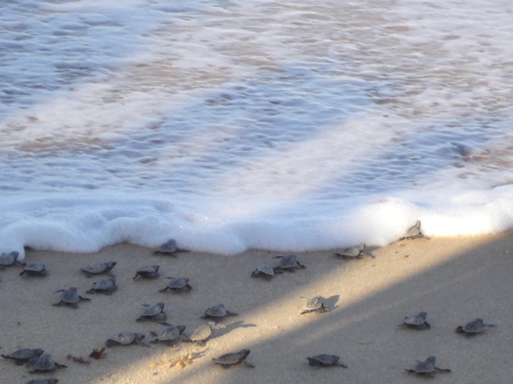 Foto de João Pessoa, Brasil