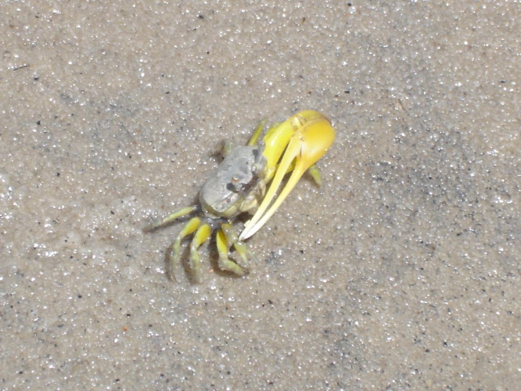 Foto de Rio Tinto (PB), Brasil